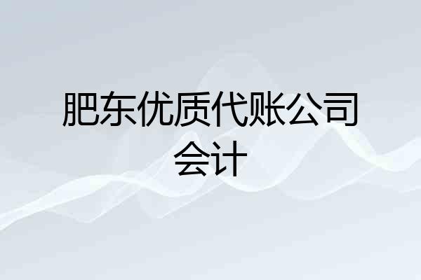 肥东优质代账公司会计