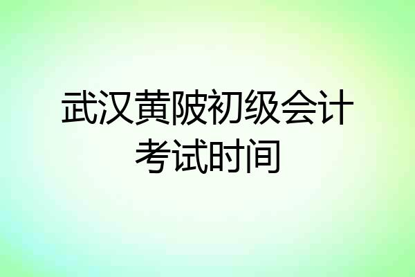 武汉黄陂初级会计考试时间