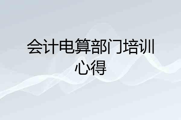 会计电算部门培训心得