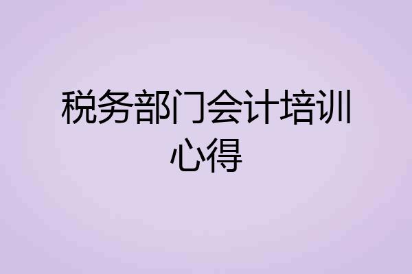 税务部门会计培训心得