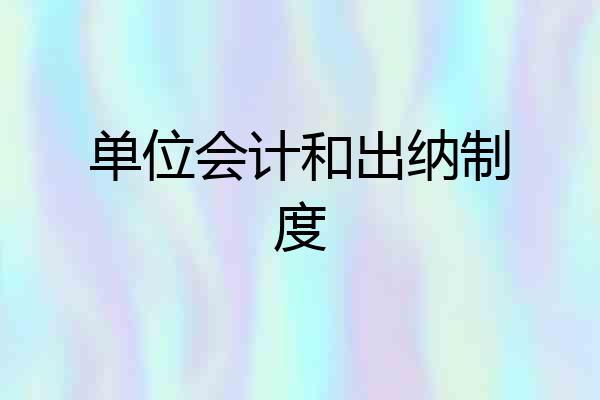 单位会计和出纳制度
