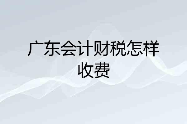 广东会计财税怎样收费