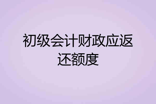 初级会计财政应返还额度