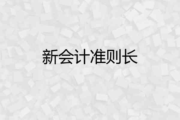 新会计准则长