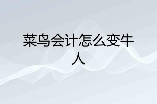 菜鸟会计怎么变牛人