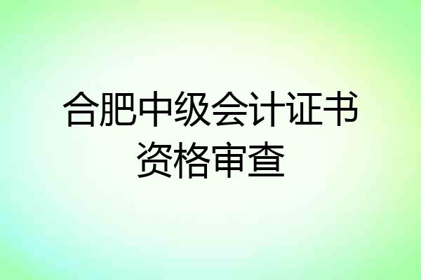 合肥中级会计证书资格审查