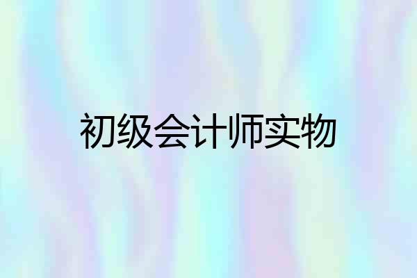 初级会计师实物