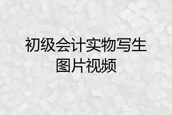 初级会计实物写生图片视频