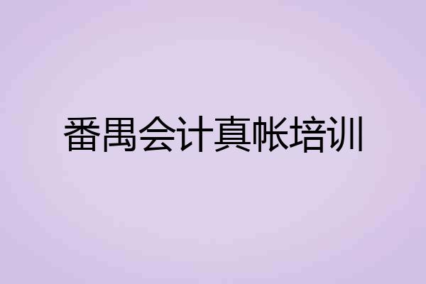 番禺会计真帐培训