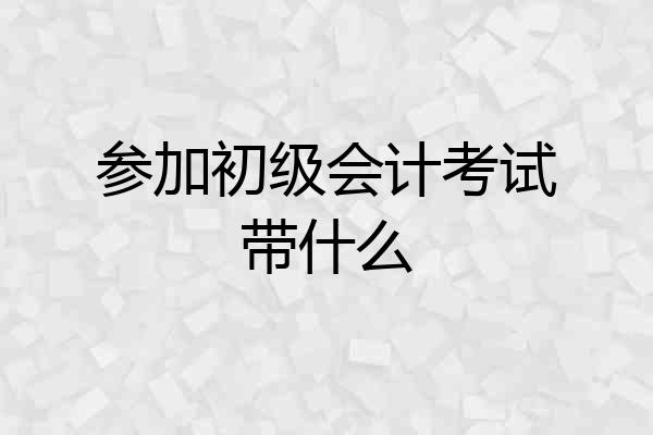 参加初级会计考试带什么