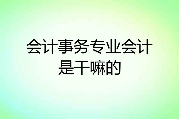 会计事务专业会计是干嘛的