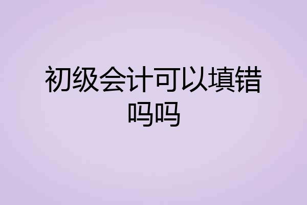 初级会计可以填错吗吗