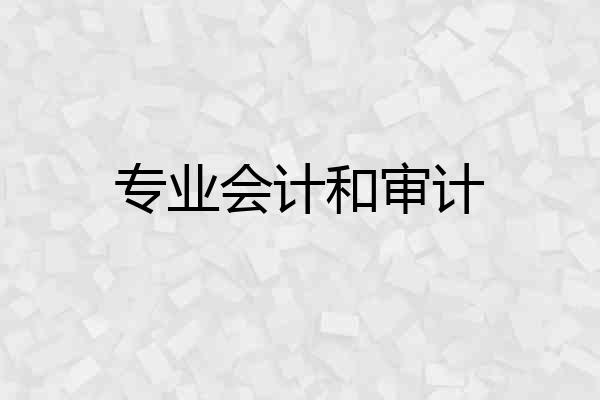 专业会计和审计