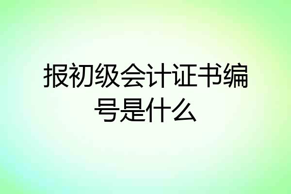 报初级会计证书编号是什么