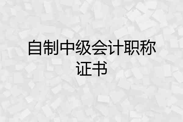 自制中级会计职称证书
