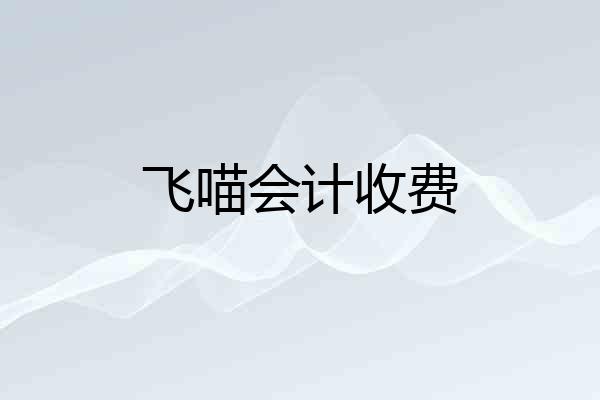 飞喵会计收费
