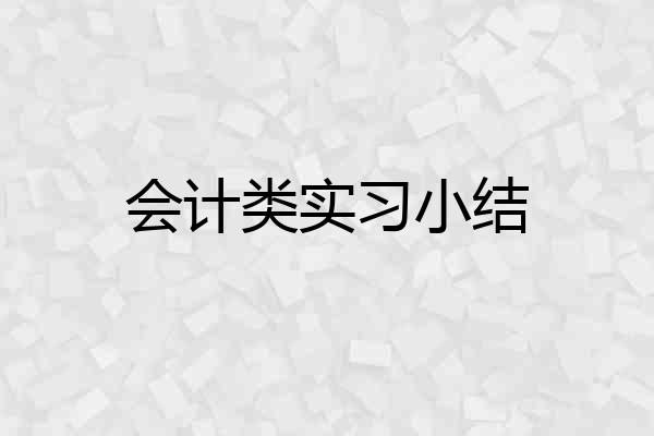 会计类实习小结