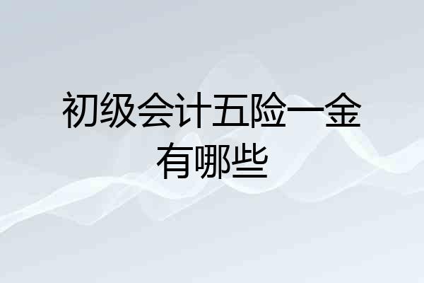 初级会计五险一金有哪些