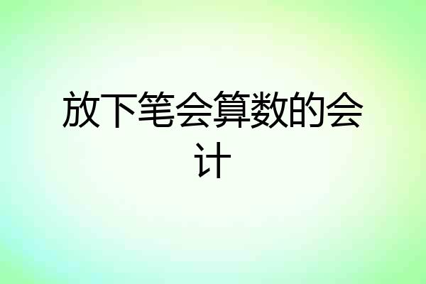 放下笔会算数的会计