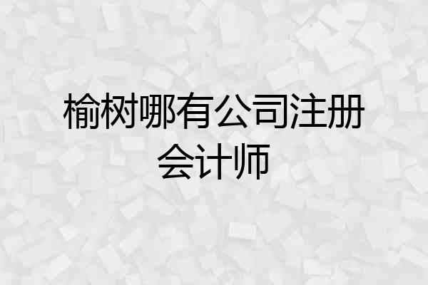 榆树哪有公司注册会计师
