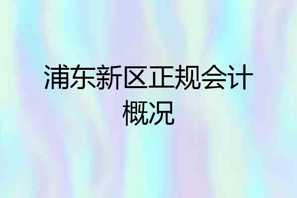 浦东新区正规会计概况