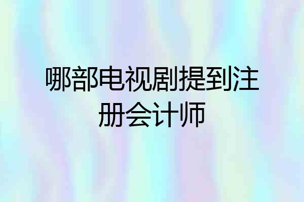 哪部电视剧提到注册会计师