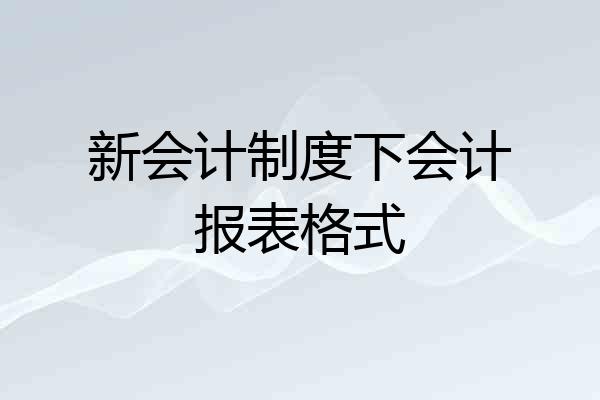 新会计制度下会计报表格式