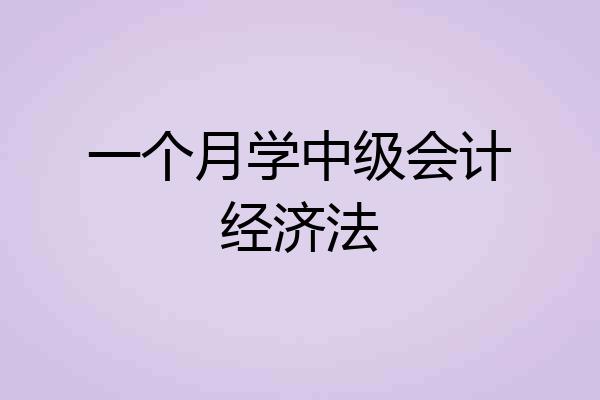 一个月学中级会计经济法