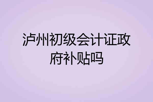 泸州初级会计证政府补贴吗