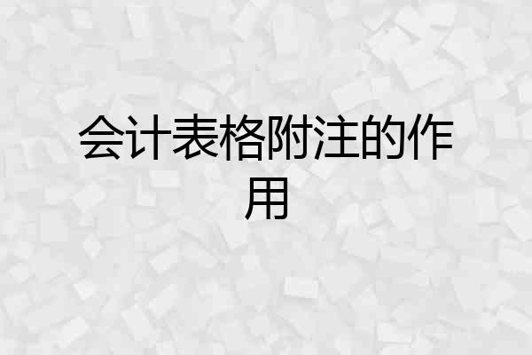 会计表格附注的作用