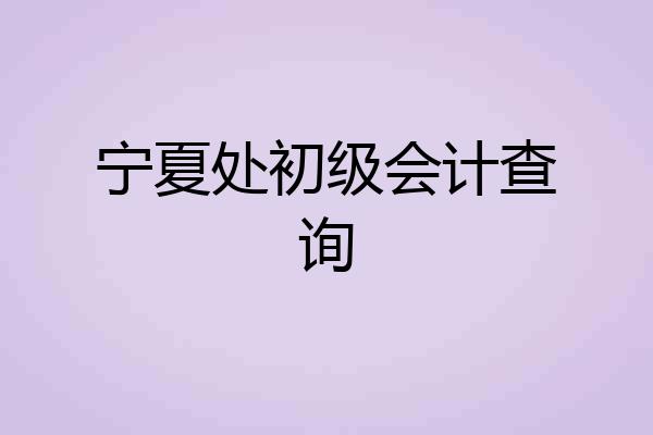 宁夏处初级会计查询