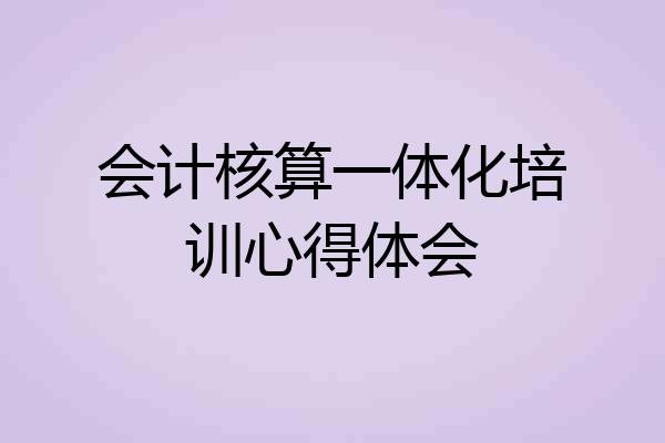 会计核算一体化培训心得体会