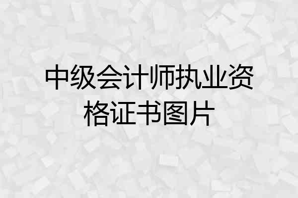 中级会计师执业资格证书图片