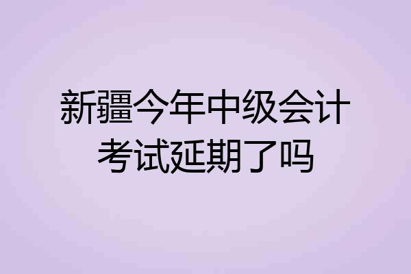 新疆今年中级会计考试延期了吗