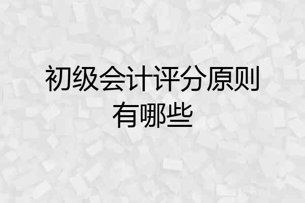 初级会计评分原则有哪些