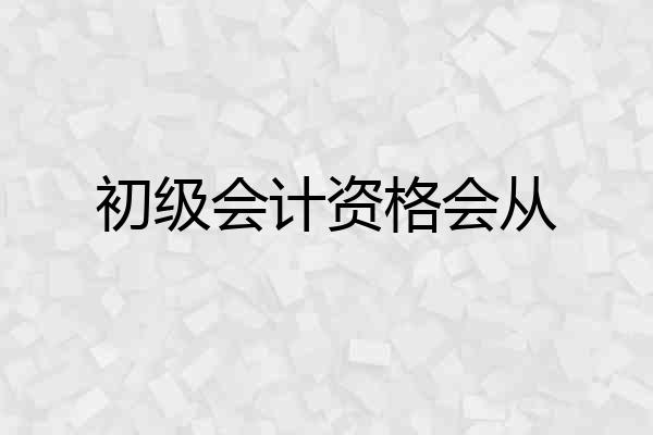 初级会计资格会从