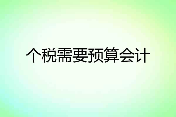 个税需要预算会计