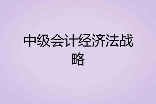 中级会计经济法战略