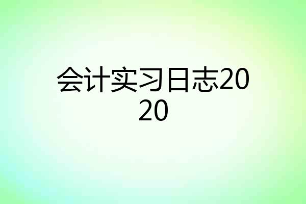 会计实习日志2020