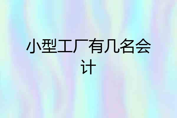 小型工厂有几名会计