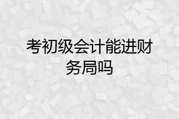 考初级会计能进财务局吗