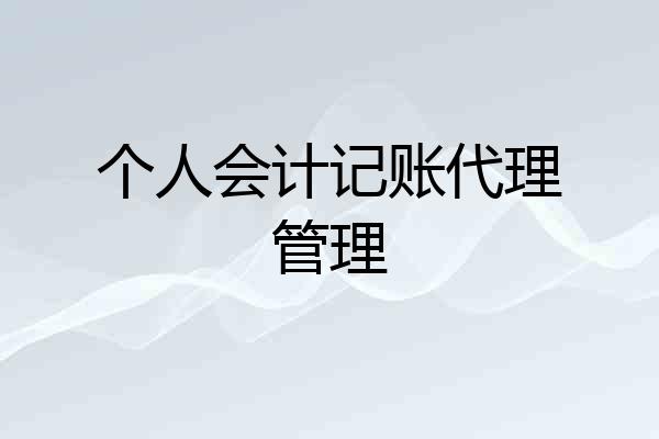 个人会计记账代理管理