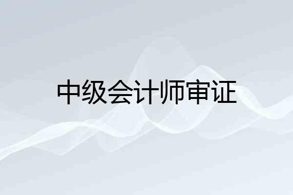 中级会计师审证