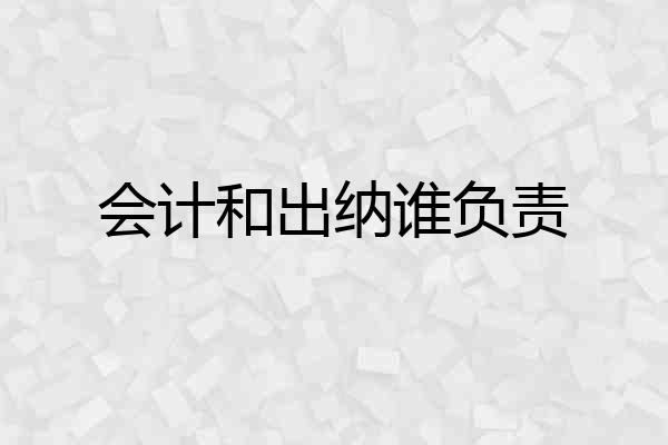 会计和出纳谁负责