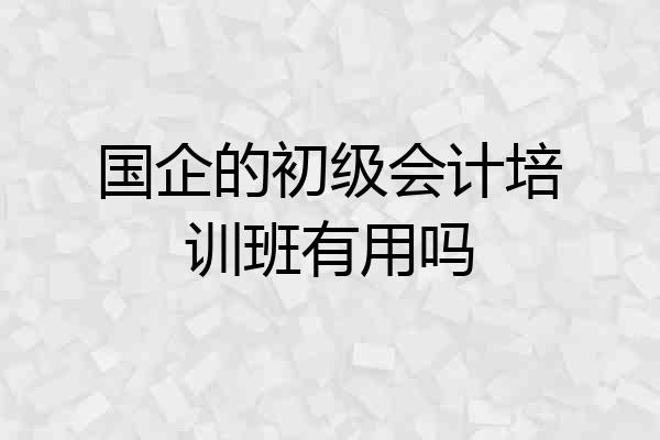 国企的初级会计培训班有用吗
