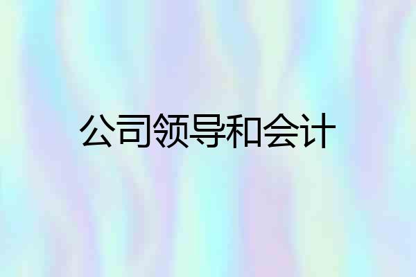 公司领导和会计