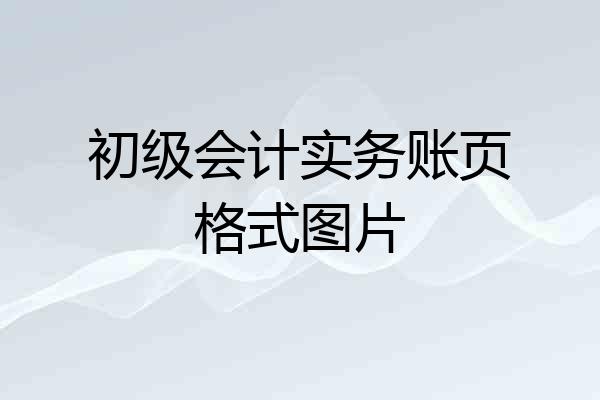 初级会计实务账页格式图片