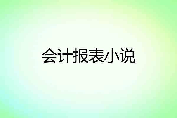 会计报表小说