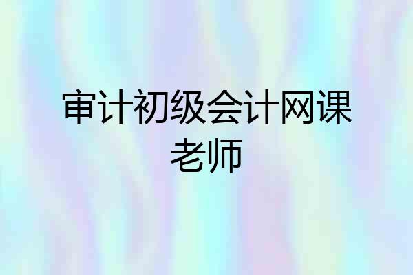 审计初级会计网课老师