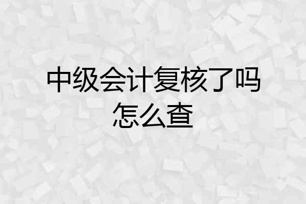 中级会计复核了吗怎么查